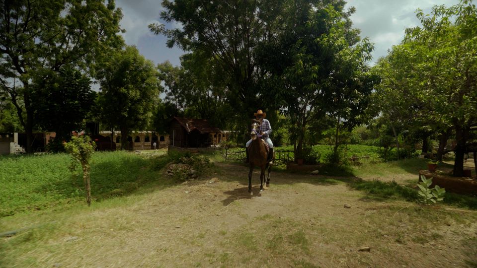 Rural Trail On Marwari Horseback At Private Ranch in 12Acres - Directions