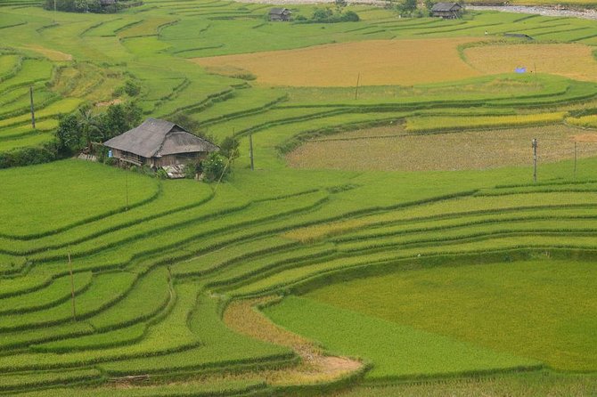 Sa Pa 2-Day Moderate Trek and Homestay Limousine Tour From Hanoi - Traveler Reviews