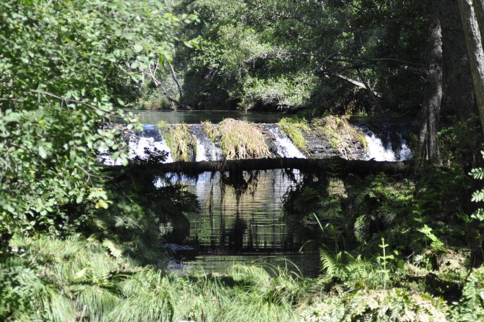 Sabugal: Stories of the Côa and Its Castle, Walking Tour - Côa Meanders Exploration