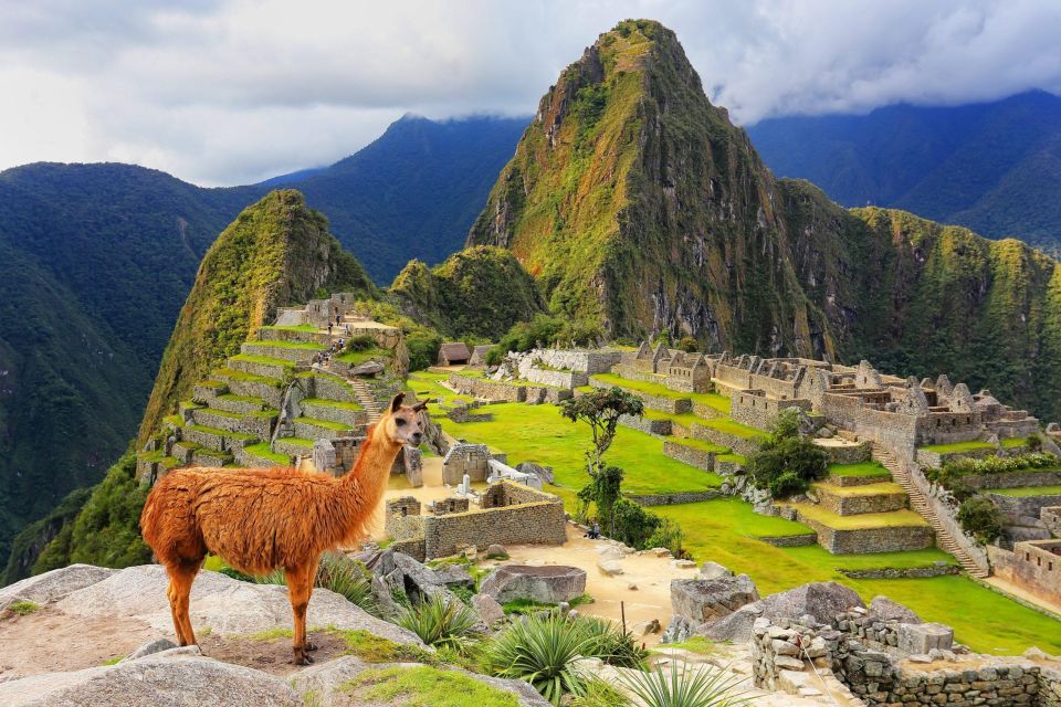 Sacred Valley & Machu Picchu Tour 2 Days - Last Words