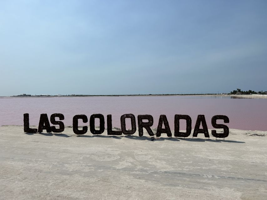 Safari Tour Around the Pink Lakes of Las Coloradas - Tour Guide Experience