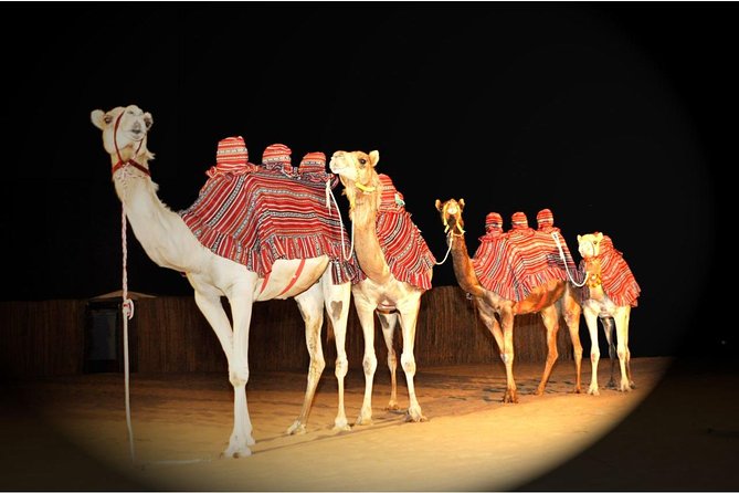 Sahara Arabian Desert Dinner Experience With Transport From Dubai - Last Words