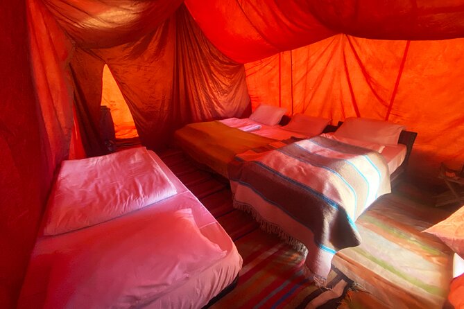 Sahara Desert Safari With Overnight Camping From Hammamet - Last Words