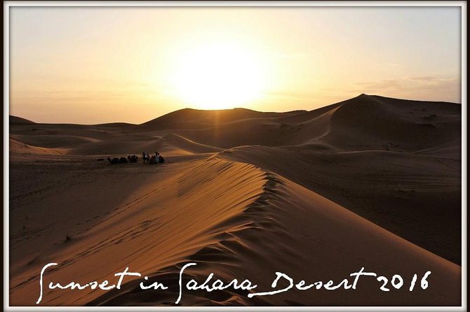 Sahara Desert Tours 4days Start From Fes to Marrakesh . - Customer Reviews