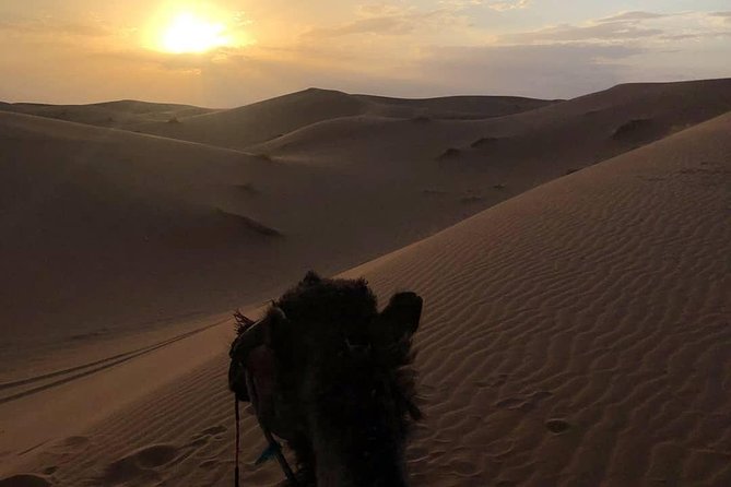 Sahara of Merzouga Overnight Desert Safari From Fes  - Fez - Safety and Health Considerations