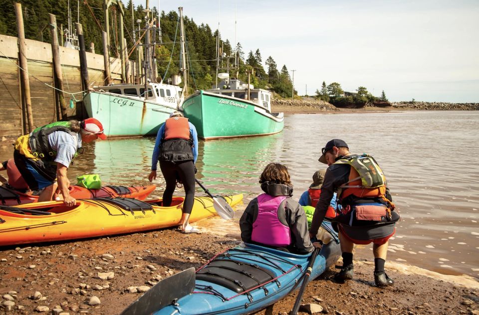 Saint John: Bay of Fundy Guided Kayaking Tour With Snack - Last Words