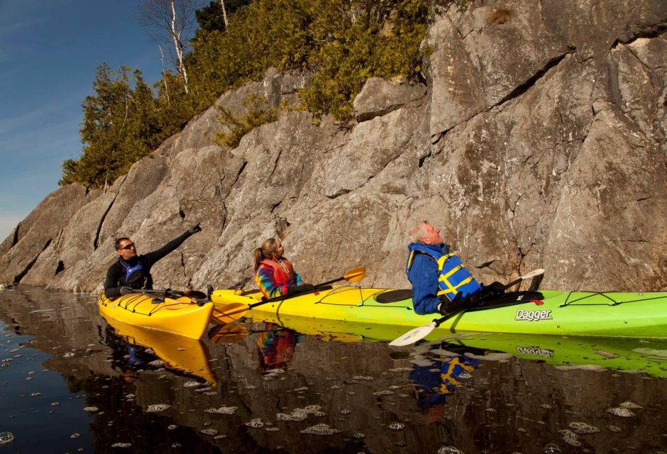 Saint John River: River Relics Kayak Tour - Wildlife Encounters and Scenic Views