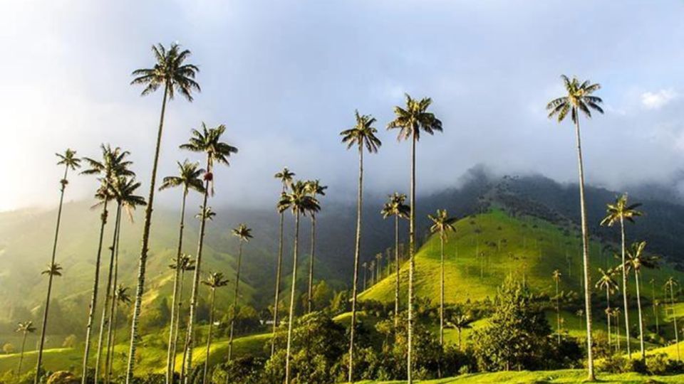 Salento and Cocora Valley Full Plan From Pereira or Armenia - Booking and Cancellation Policy
