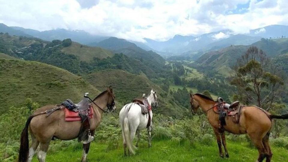 Salento, Cócora Horseback Riding From Pereira or Armenia - Directions for Booking and Enjoyment