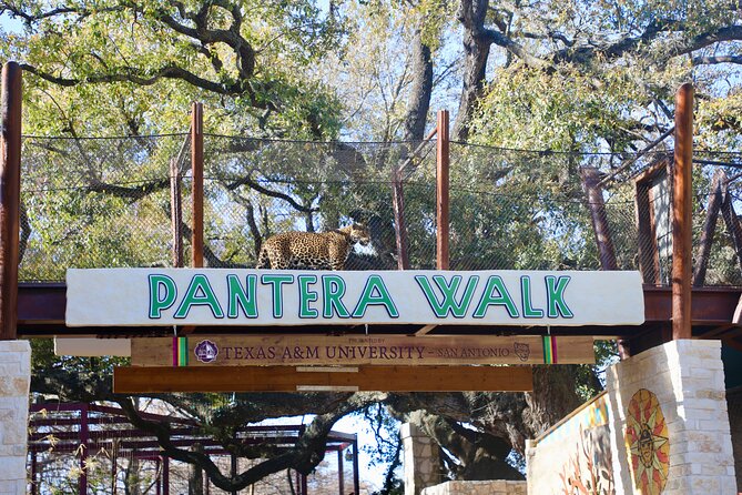 San Antonio Zoo General Admission Ticket - Reviews and Visitor Feedback