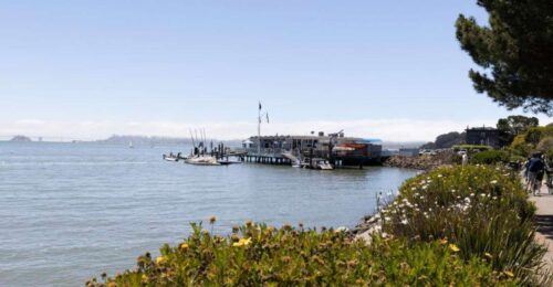 San Francisco: Muir Woods and Sausalito Entry Fee Included - Additional Inclusions