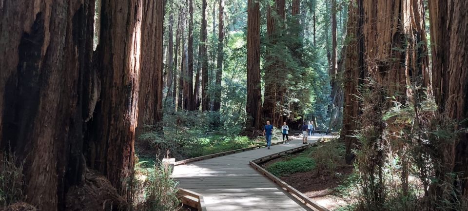San Francisco: Muir Woods and Sausalito Small Group Tour - Meeting Points