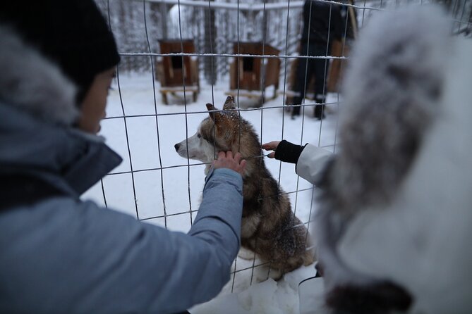 Santa Claus Village, Husky and Reindeers Combo Safari - Last Words