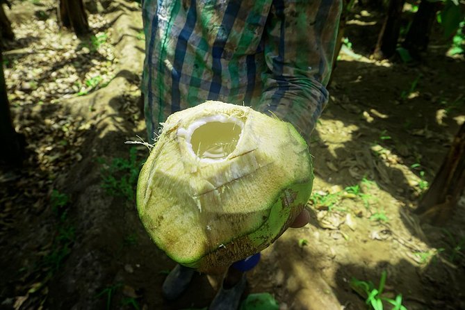 Santiago Island: Banana Plantation, Natural Park & Workshop With a Local Family - Customer Reviews and Feedback