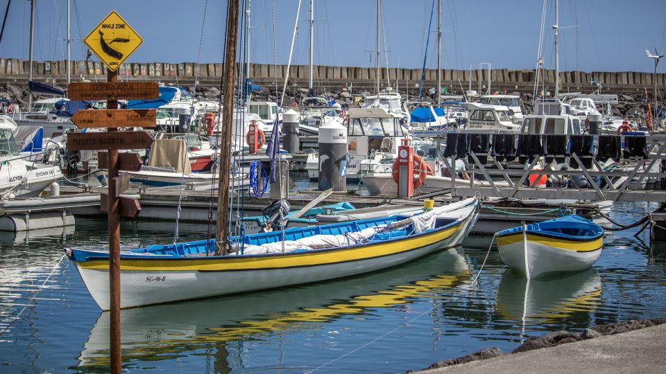 São Miguel: Azorean Whalers Heritage Tour - Common questions