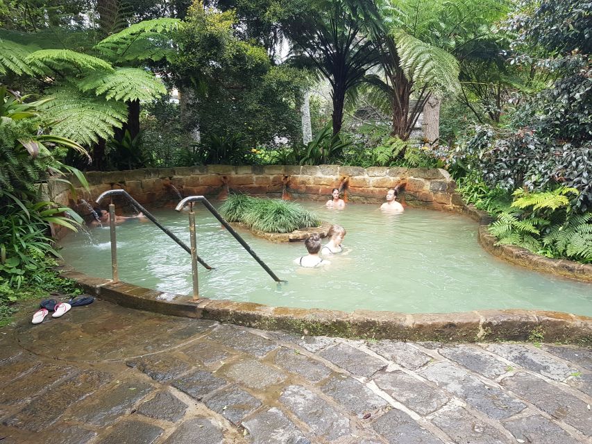 São Miguel: Full-Day Tour of Furnas Valley - Common questions