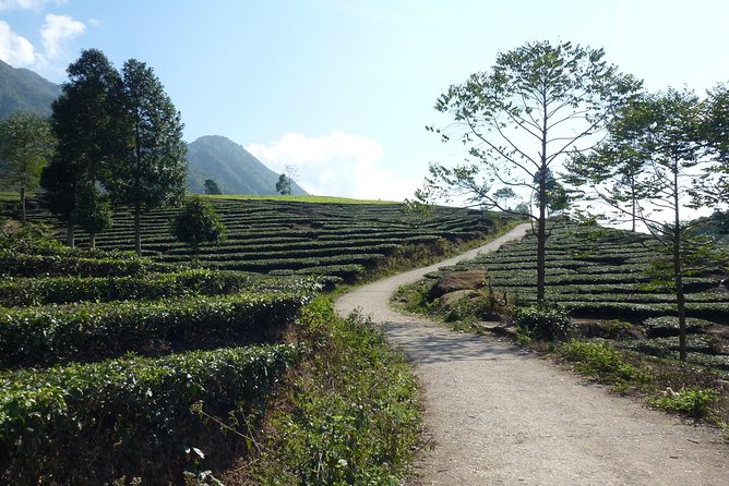 Sapa Full Day Motorbike Tour - Viator Contact and Booking