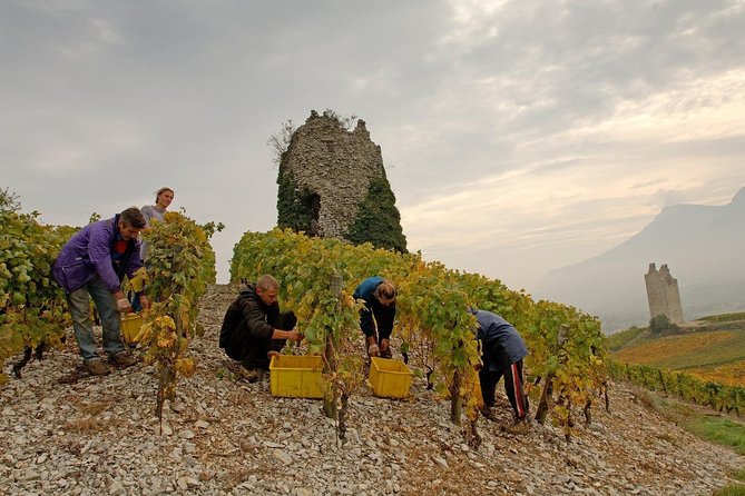 Savoyard Vineyards Tour (8 Hours) - Private Driver - From Annecy - Common questions