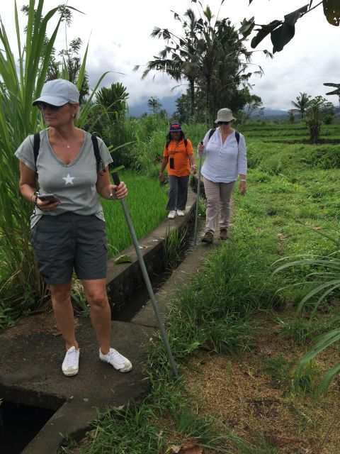 Scene of Sidemen Trekking - Common questions