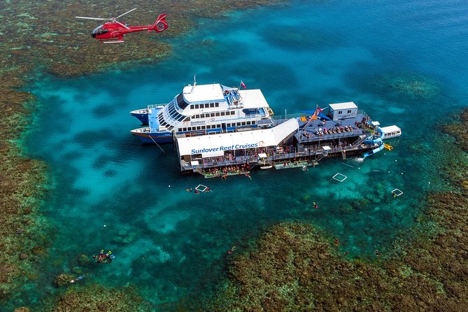 Scenic Helicopter Flight to Moore Reef and Return Snorkeling Cruise From Cairns - Tips for Future Travelers