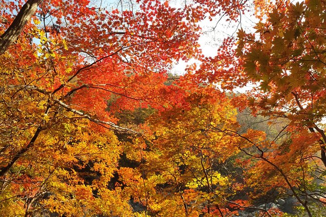 Scenic Jiri Mountain Autumn Foliage One Day Tour - Admission Details