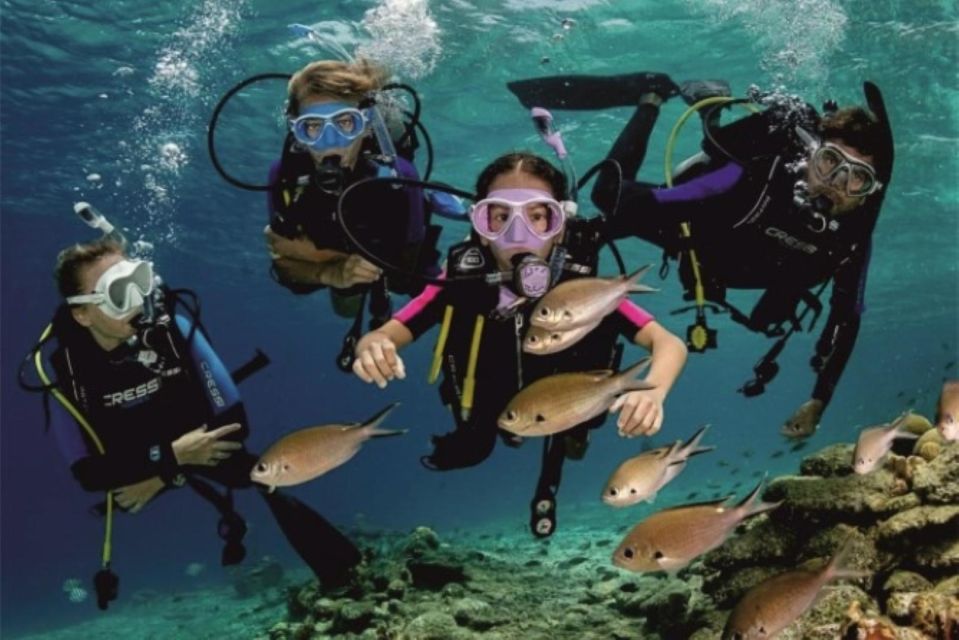 Scuba Diving: Explore the Depths of Alanya - Safety Guidelines and Requirements