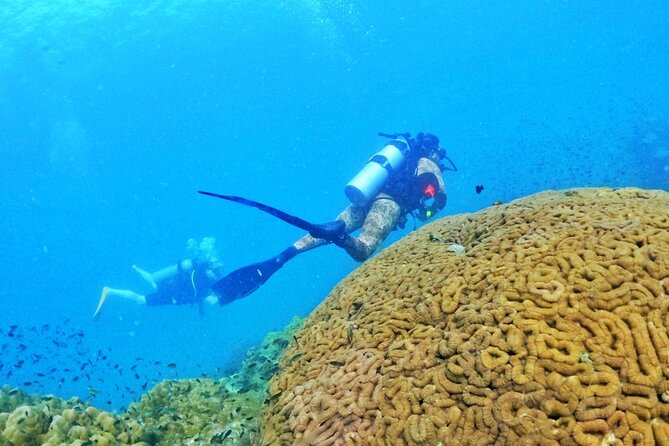 Scuba Diving for Certified Divers in Phu Quoc Island - Common questions