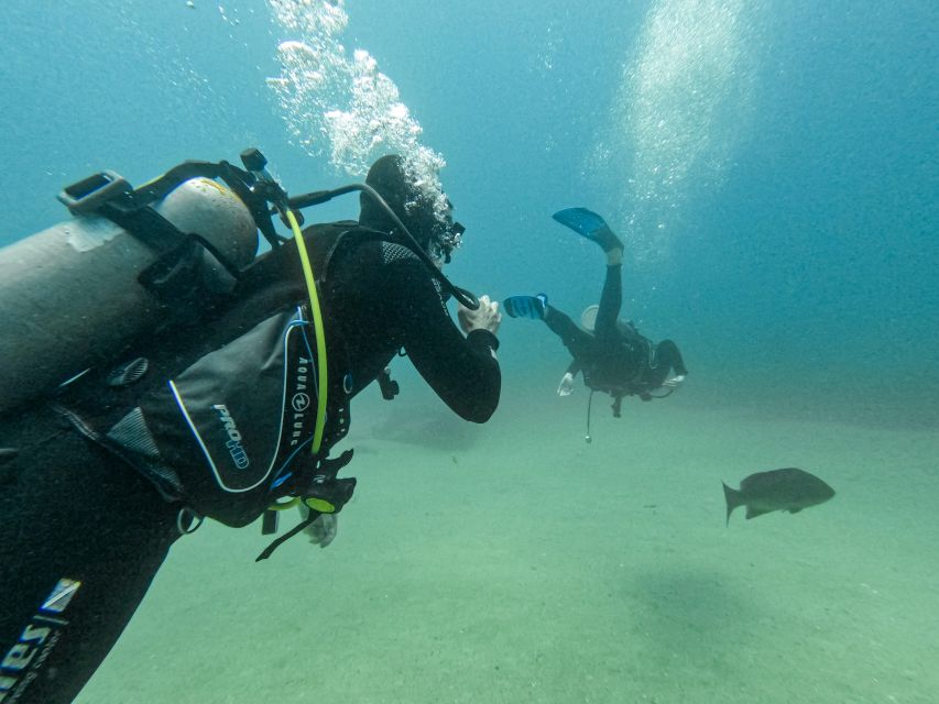 Scuba Diving in a National Marine Park of Cabo Pulmo - Cancellation Policy