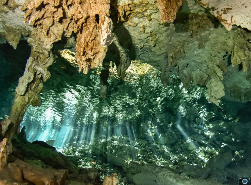 Scuba in 2 Cenotes in a Half-Day - Last Words