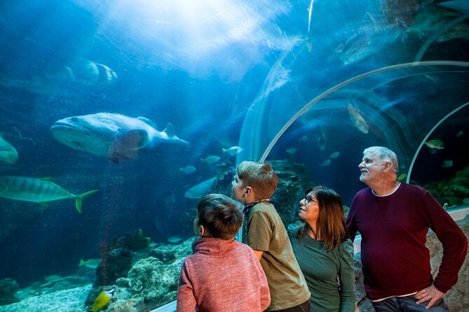 SEA LIFE Berlin Admission Ticket - Additional Information