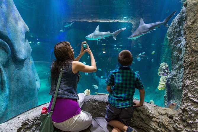 SEA LIFE Kansas City Aquarium Admission Ticket - Common questions