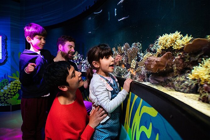 SEA LIFE London Aquarium Admission Ticket - Lowest Price Guarantee