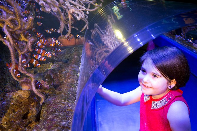 SEA LIFE Manchester Admission Ticket - Common questions