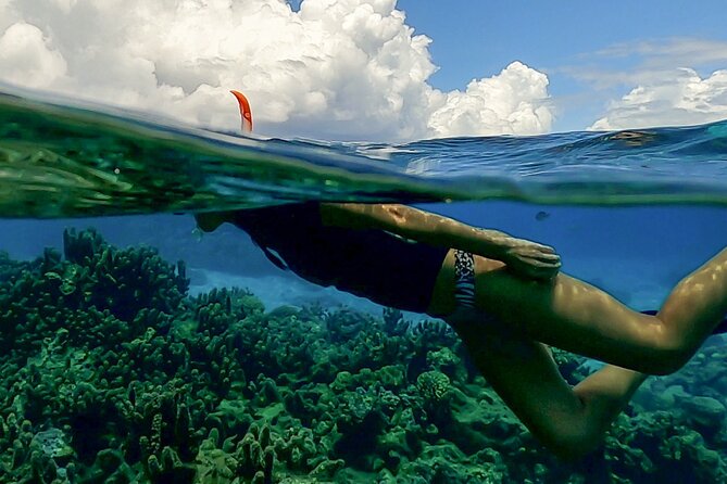 Sea Scooter Snorkel Tour - Lagoon Discovery : Wrecks, Coral Gardens and Tropical Fishies - Additional Tips and Assistance