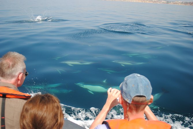 Sealife Sea Safari, Dolphin Watching With Marine Biologists Lagos - Cancellation Policy
