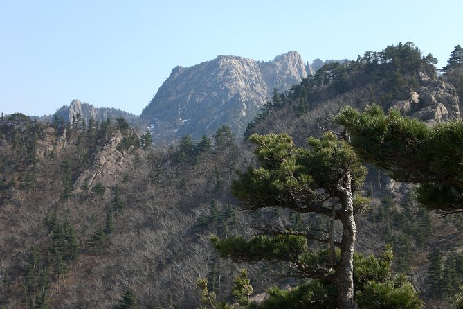 Seoraksan National Park, Temple, Fortress Day Tour From Seoul - Pricing and Provider