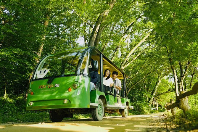 Seoul to Nami Island Round Trip Shuttle Bus Service - Service Highlights