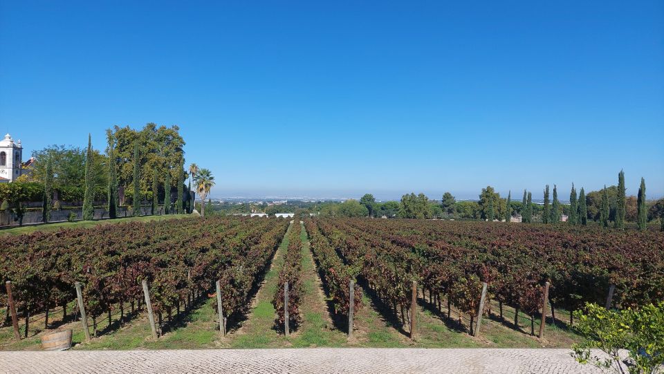 Serra Da Arrábida: Private Tour With Wine Tasting - Logistics and Practical Details