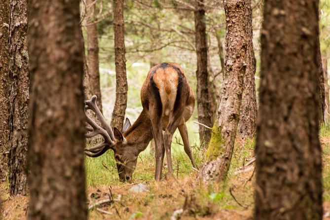 Serra Da Lousã Private Half- or Full-Day Tour From Coimbra - Additional Information