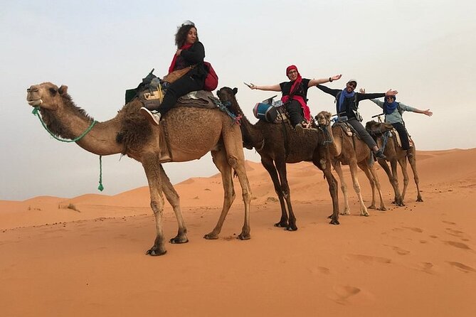 Shared 4 Days Tour From Marrakech To Fes Via Erg Chebbi Desert - Traveler Reviews