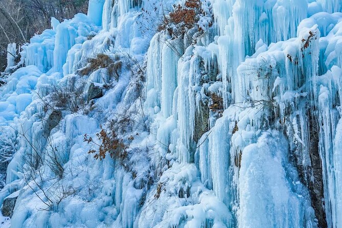 Shared Korean Winter Tour at Nami Island With Professional Guide - Common questions