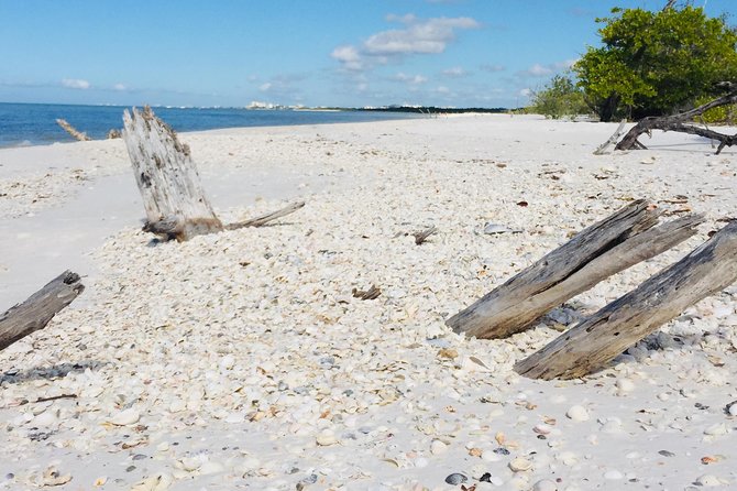 Shelling Tours - Fort Myers Beach / Naples - Additional Tour Information