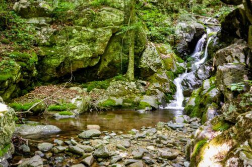 Shenandoah National Park: Self-Driving Audio Guide - App Features