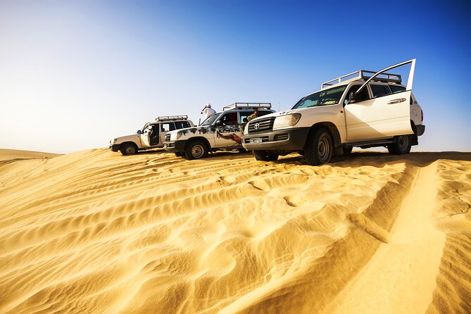 Shore Excursions of Dubai City Tour Followed by Desert Safari - Reviews and Booking Information