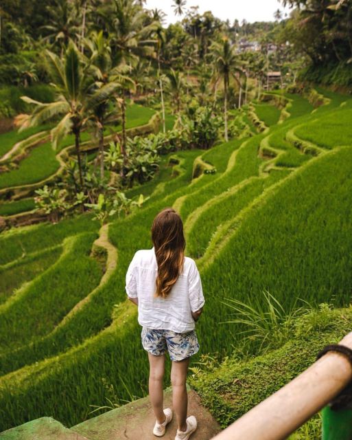 Sightseeing Ubud Monkey Forest, Rice Terrace and Waterfall - Return to Bali