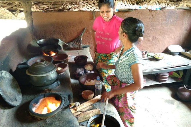 Sigiriya, Traditional Lunch and Cave Temple Private Day Tour All Inclusive - Last Words