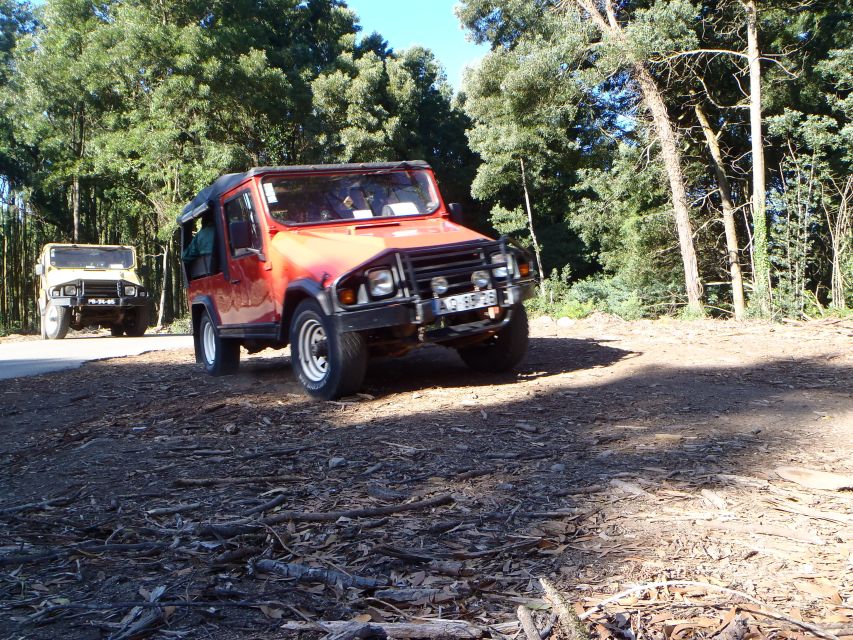 Sintra 4WD Tour - Safety Measures