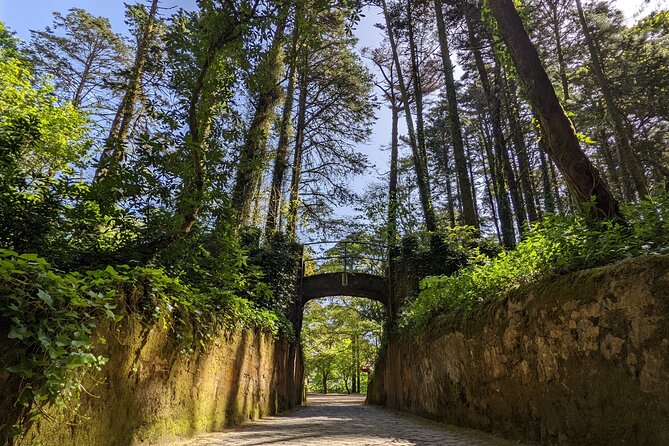 Sintra Small Group Tour From Lisbon: Pena Palace Ticket Included - Expert Tour Guides