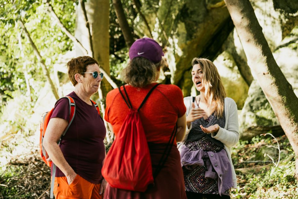 Sintra's Moorish Castle and Quinta Da Regaleira Walking Tour - Meeting Point Details