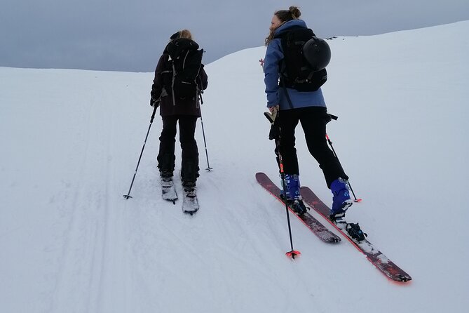 Ski Touring and Log Cabin Between Sweden and Norway - Last Words